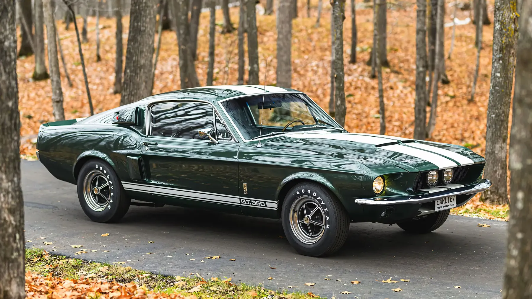 1967 Shelby GT350 Fastback