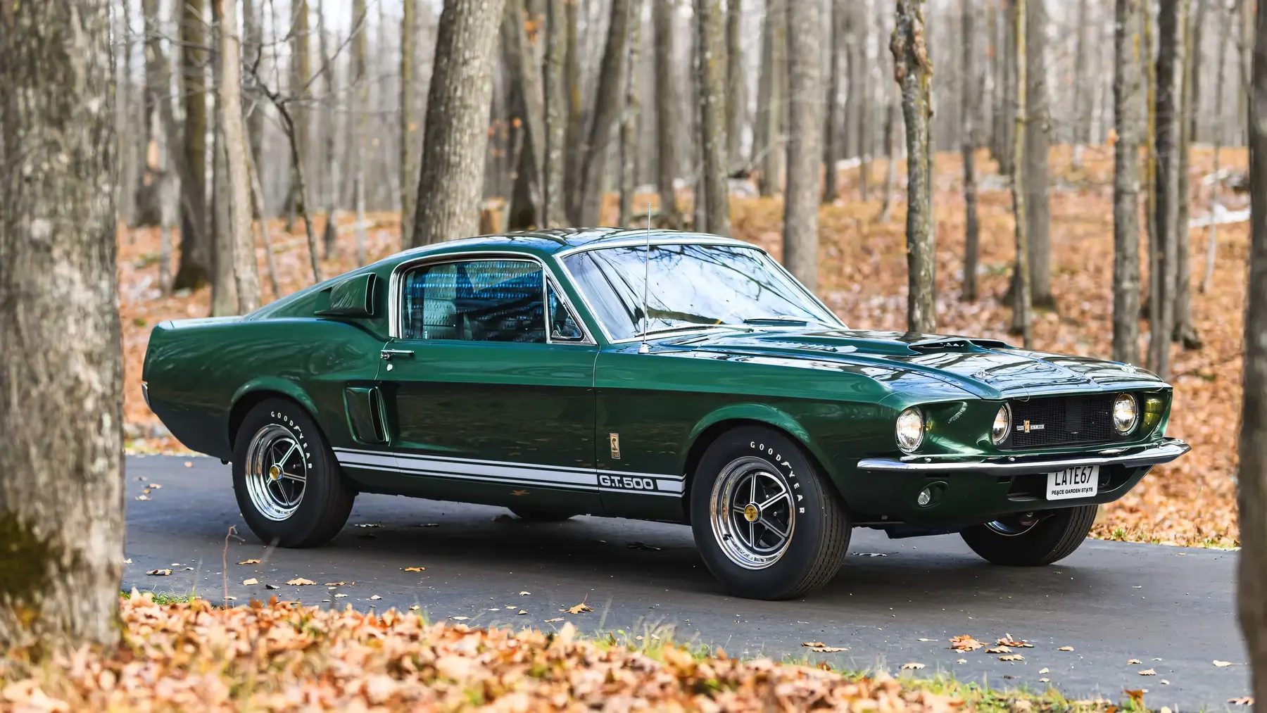 1967 Shelby GT500 Fastback