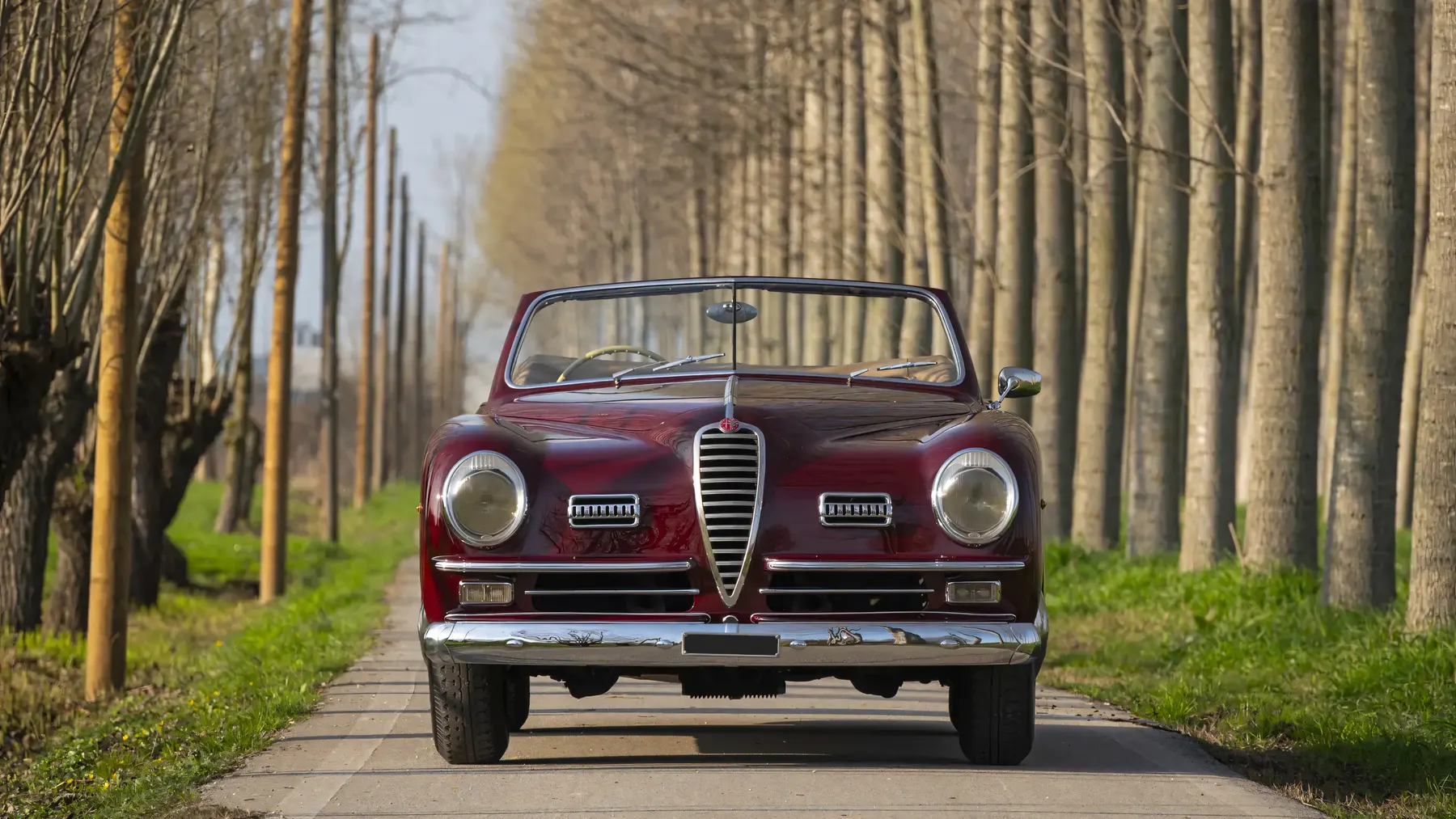 1949 Alfa Romeo 6C 2500 Passo Corto Super Sport Cabriolet by Pinin Farina