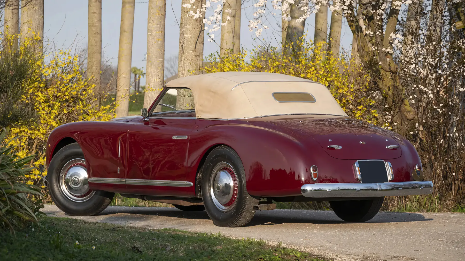 1949 Alfa Romeo 6C 2500 Passo Corto Super Sport Cabriolet by Pinin Farina