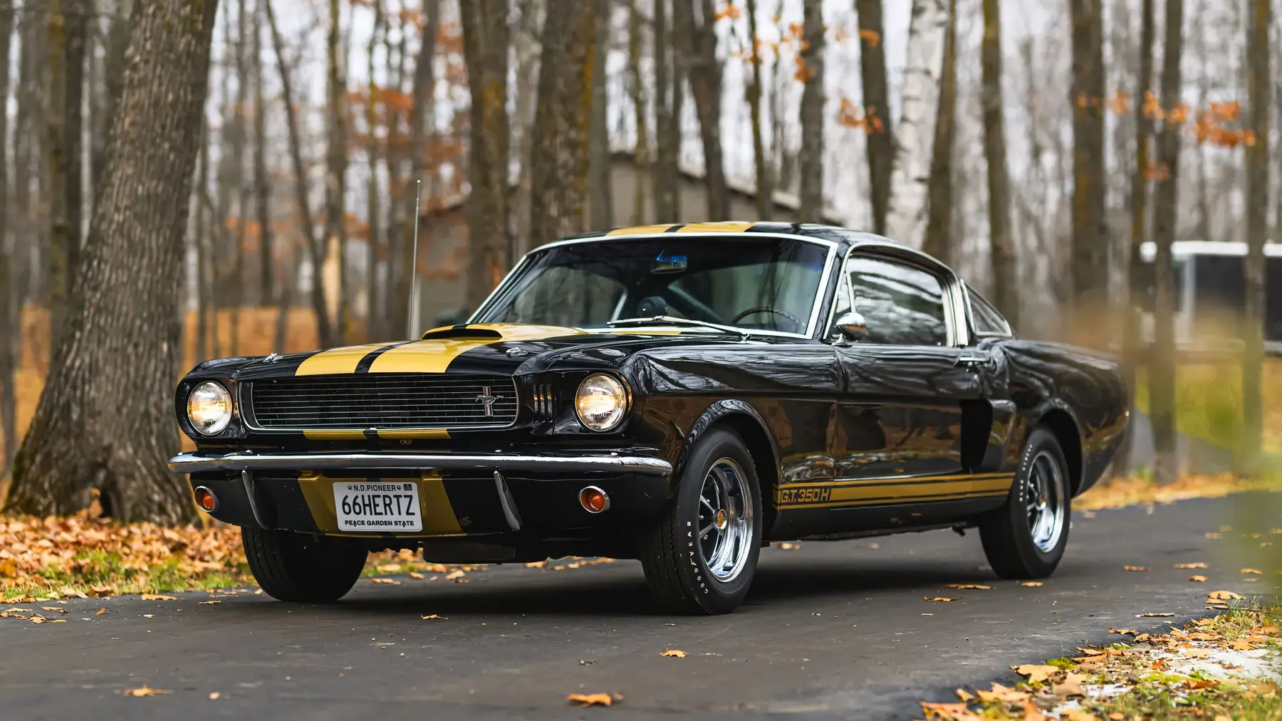 1966 Shelby GT350 H