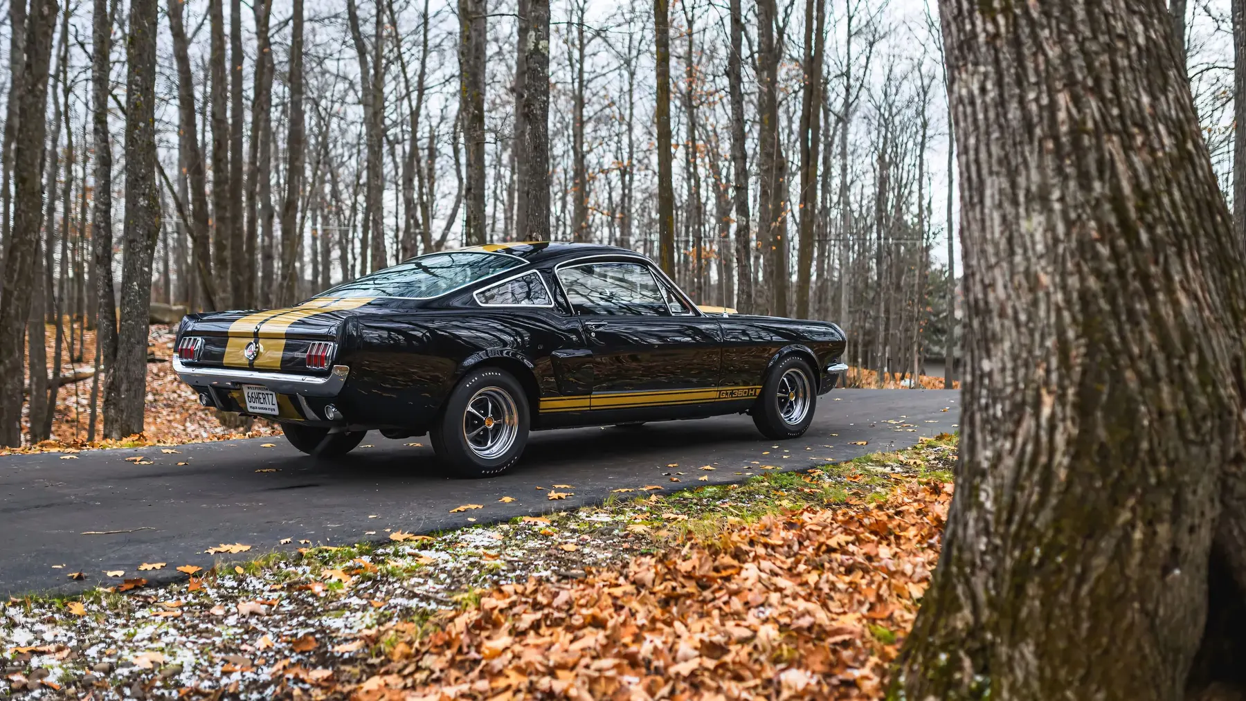 1966 Shelby GT350 H