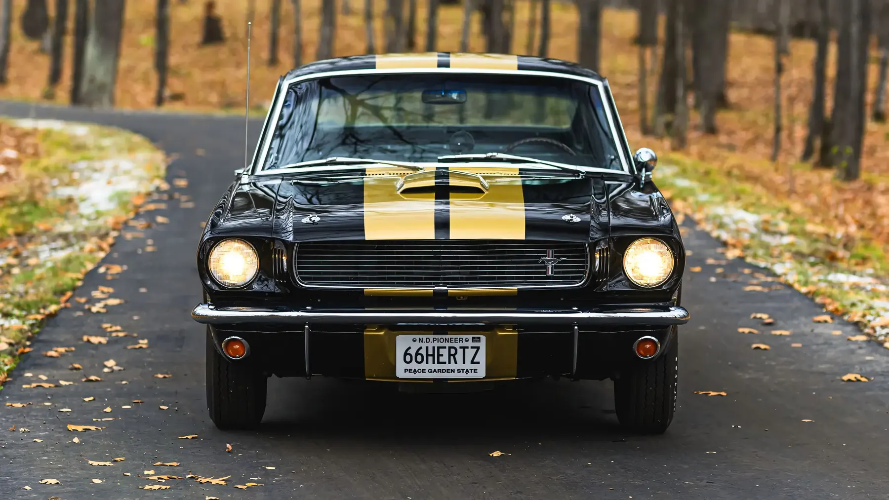 1966 Shelby GT350 H