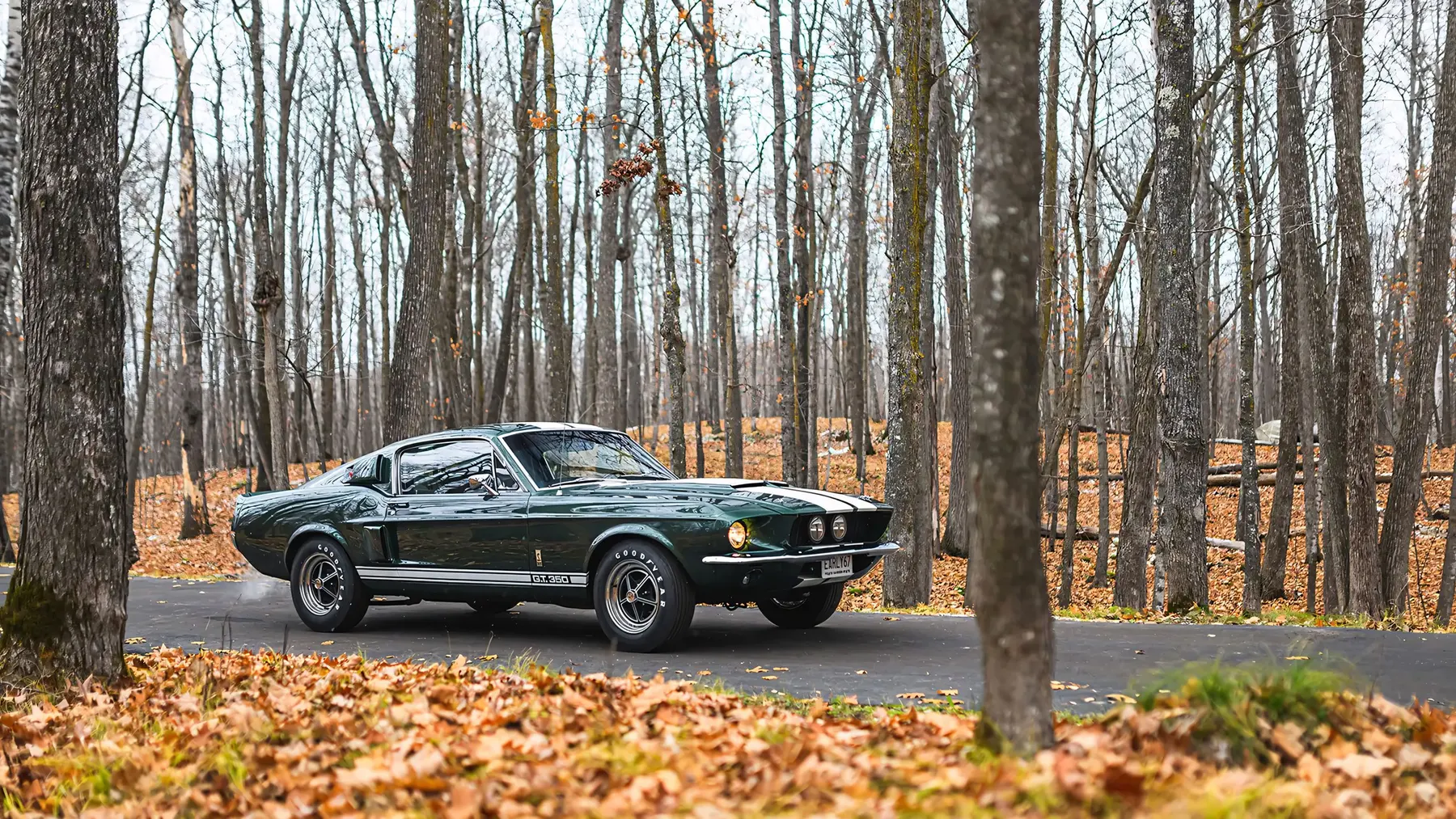 1967 Shelby GT350 Fastback