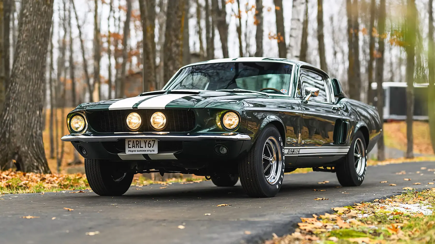 1967 Shelby GT350 Fastback